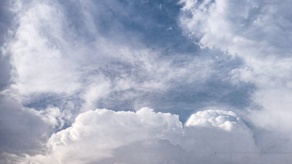 سنيوري ‏ tweet media