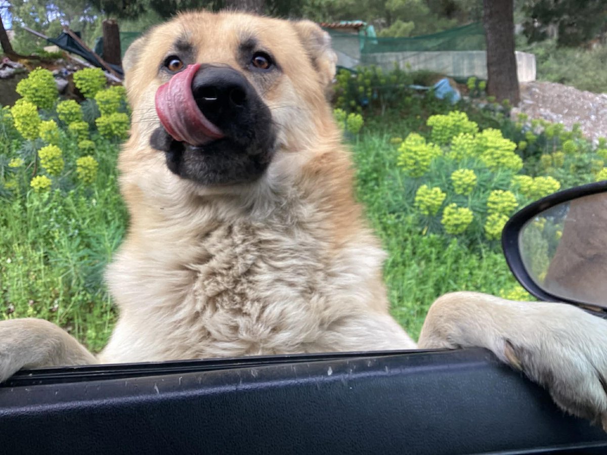 Gill Meek tweet media