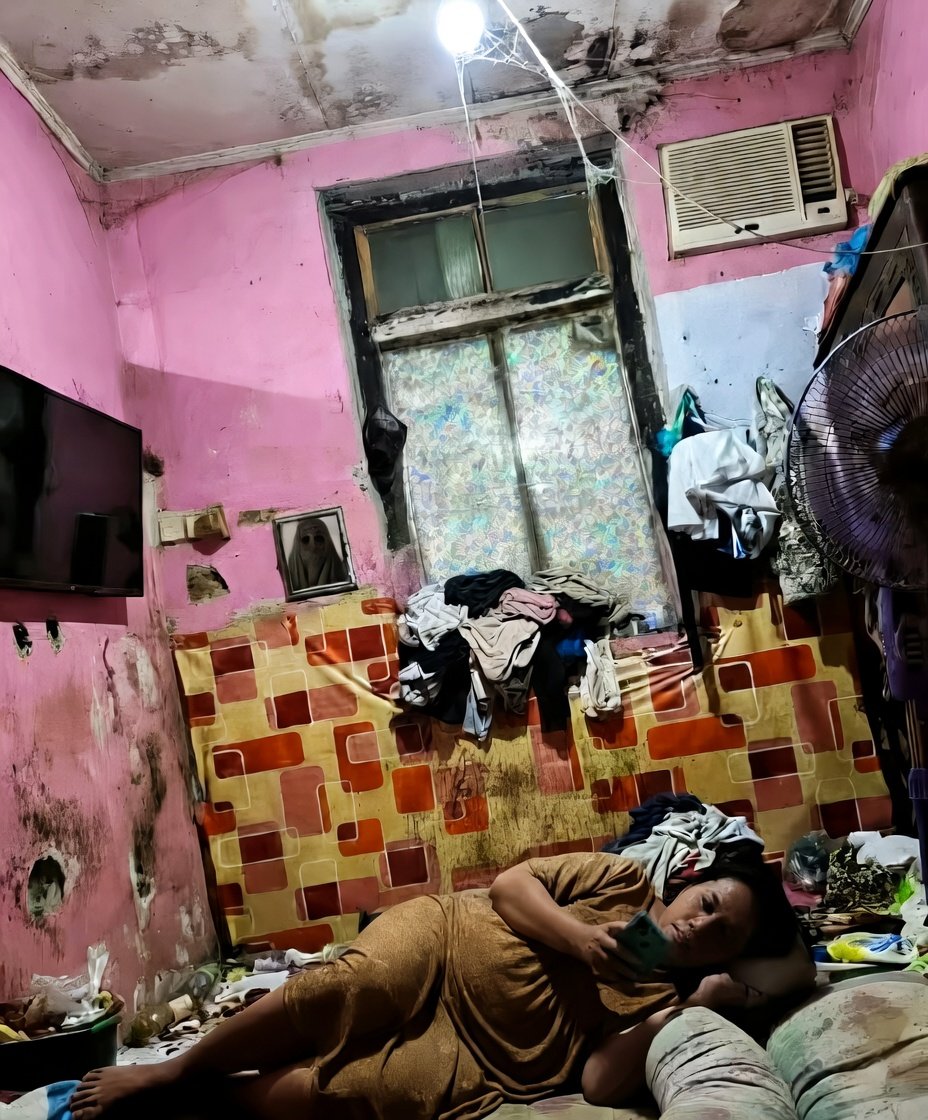 aril piterpen tweet media