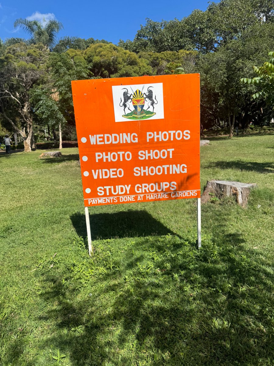 Nqobizitha Mlambo tweet media