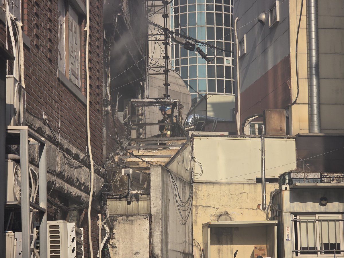 🎇《사회악》社會惡📸 tweet media