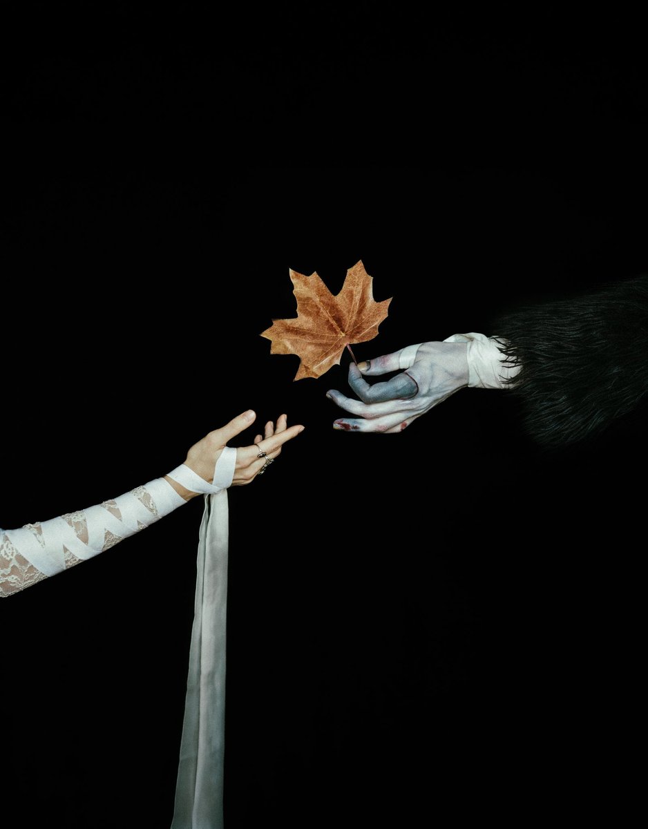 Iulia Iepure tweet media