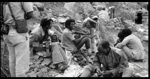 Ministry of Information, Eritrea tweet media