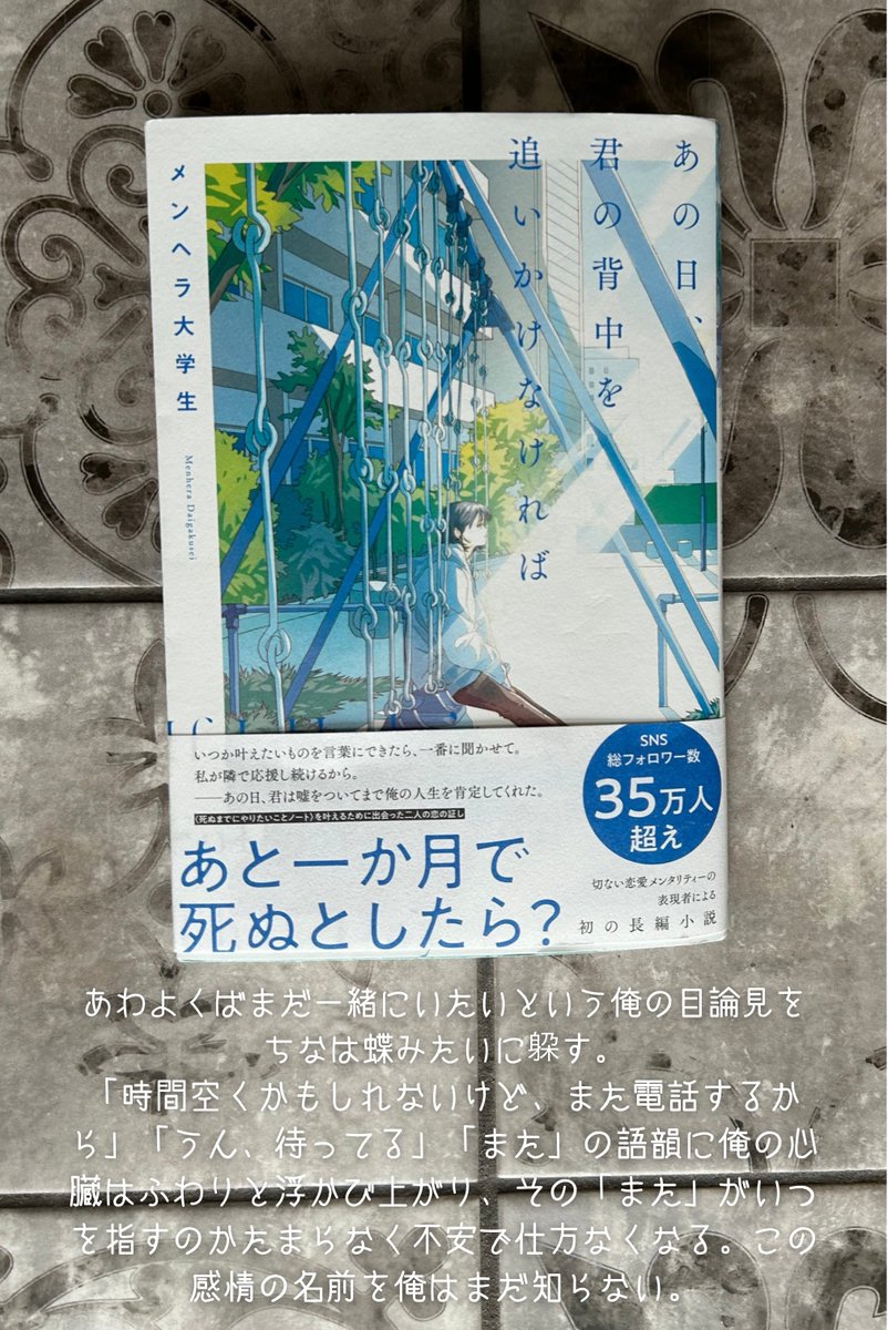 setsu_ao's tweet photo. 🌸メンヘラ大学生さん著🌸
『あの日、君の背中を追いかけなければ』の主人公、
幹人の、ヒロインちなへの純粋で、せつない思いがあふれるフレーズ。

#メンヘラ大学生 https://t.co/145q67eORW