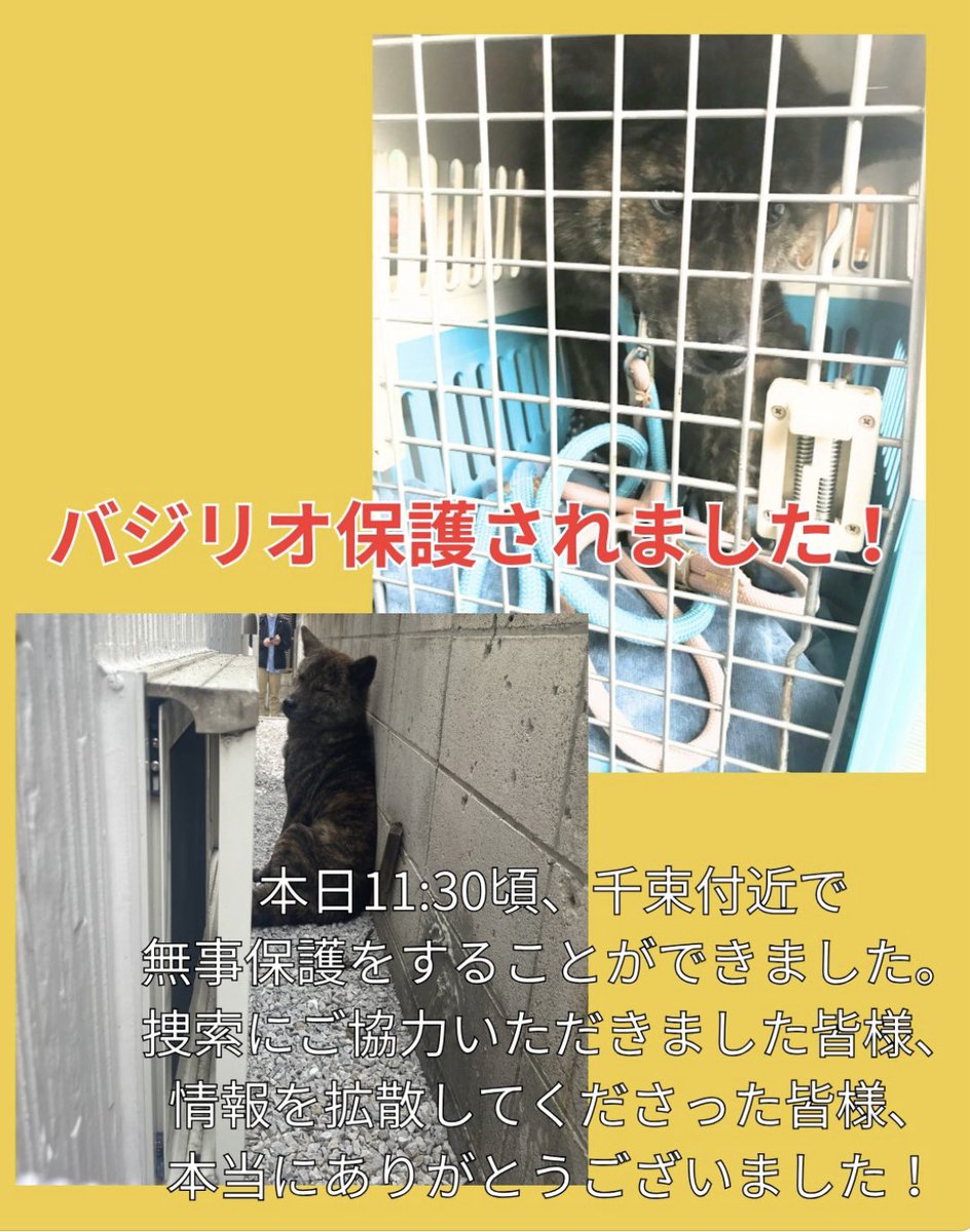 アニマルレフュージ関西 tweet media