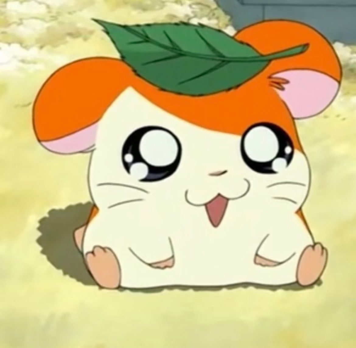 소설짱 tweet media