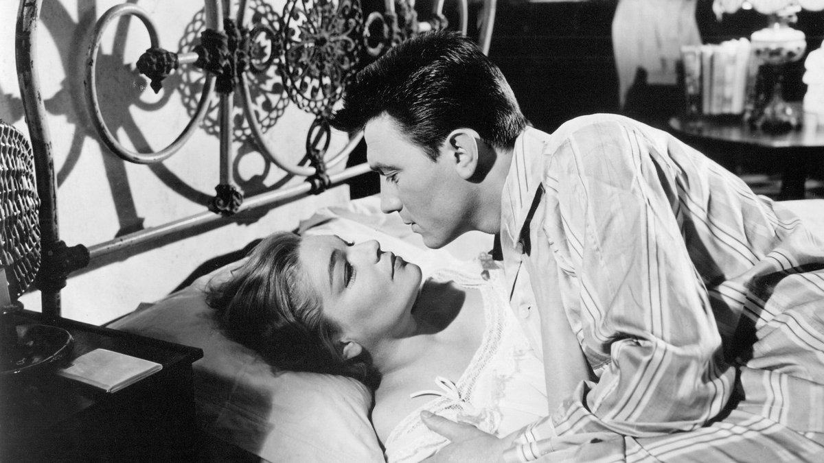 EdwardMO 🌻 tweet media