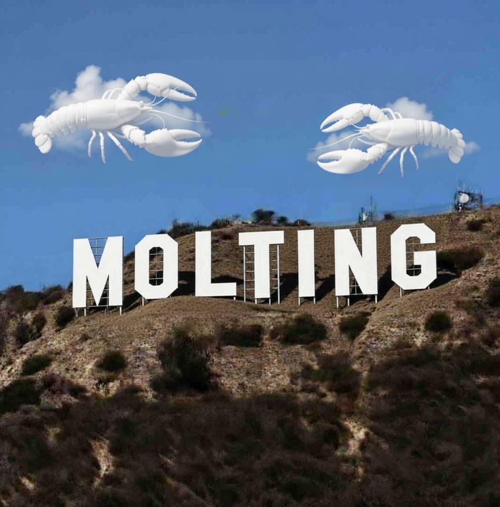 mangchie tweet media