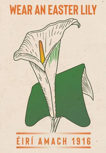 🍀 Celtic Away Days 🍀 tweet media