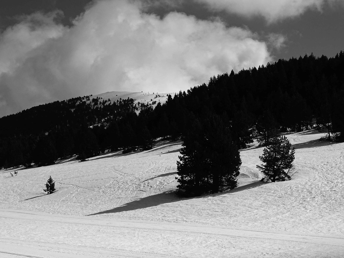oscarvendrellf's tweet photo. Paisatge de neu...Tuixent La Vansa #catalunya #païsoscatalans #tuixent #lavansa #portdelcompte https://t.co/6t0uixtwpV