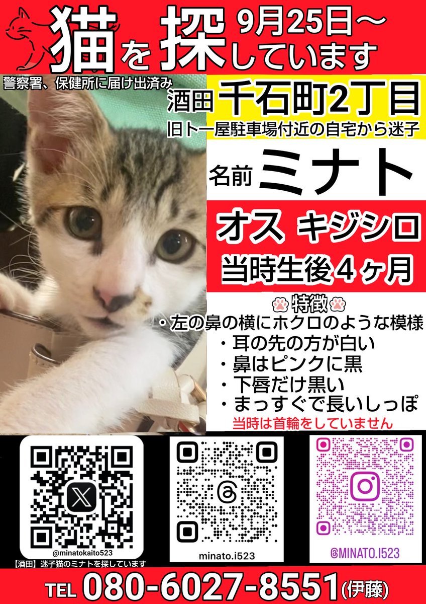 minatokaito523's tweet photo. ミナトが迷子になり今日で半年になりました。情報も1件も無く振り出しに戻ってしまいましたが、大切な家族を見つけるまで絶対に諦めません。引き続き拡散にご協力をお願いいたします🙇　#酒田市　#迷子猫 https://t.co/Zze7Jen8HZ