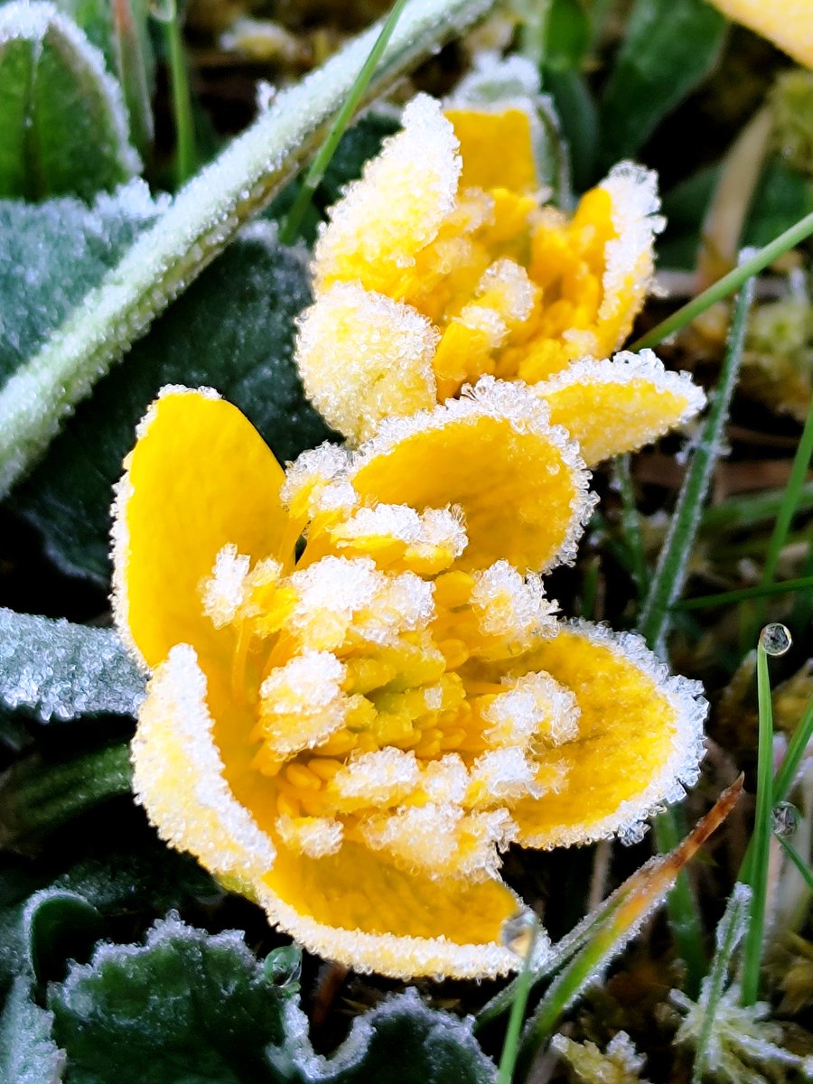 Edith PY tweet media