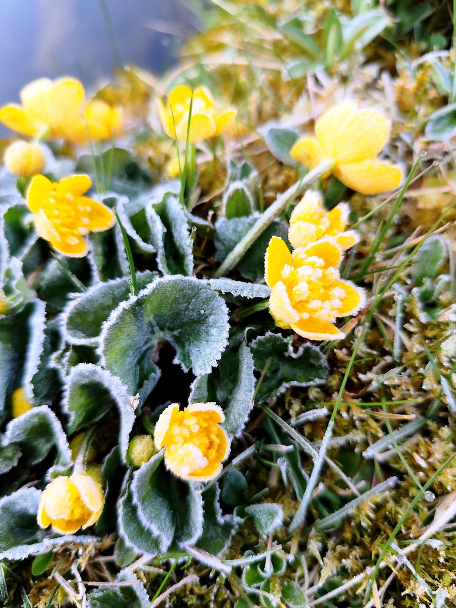 Edith PY tweet media