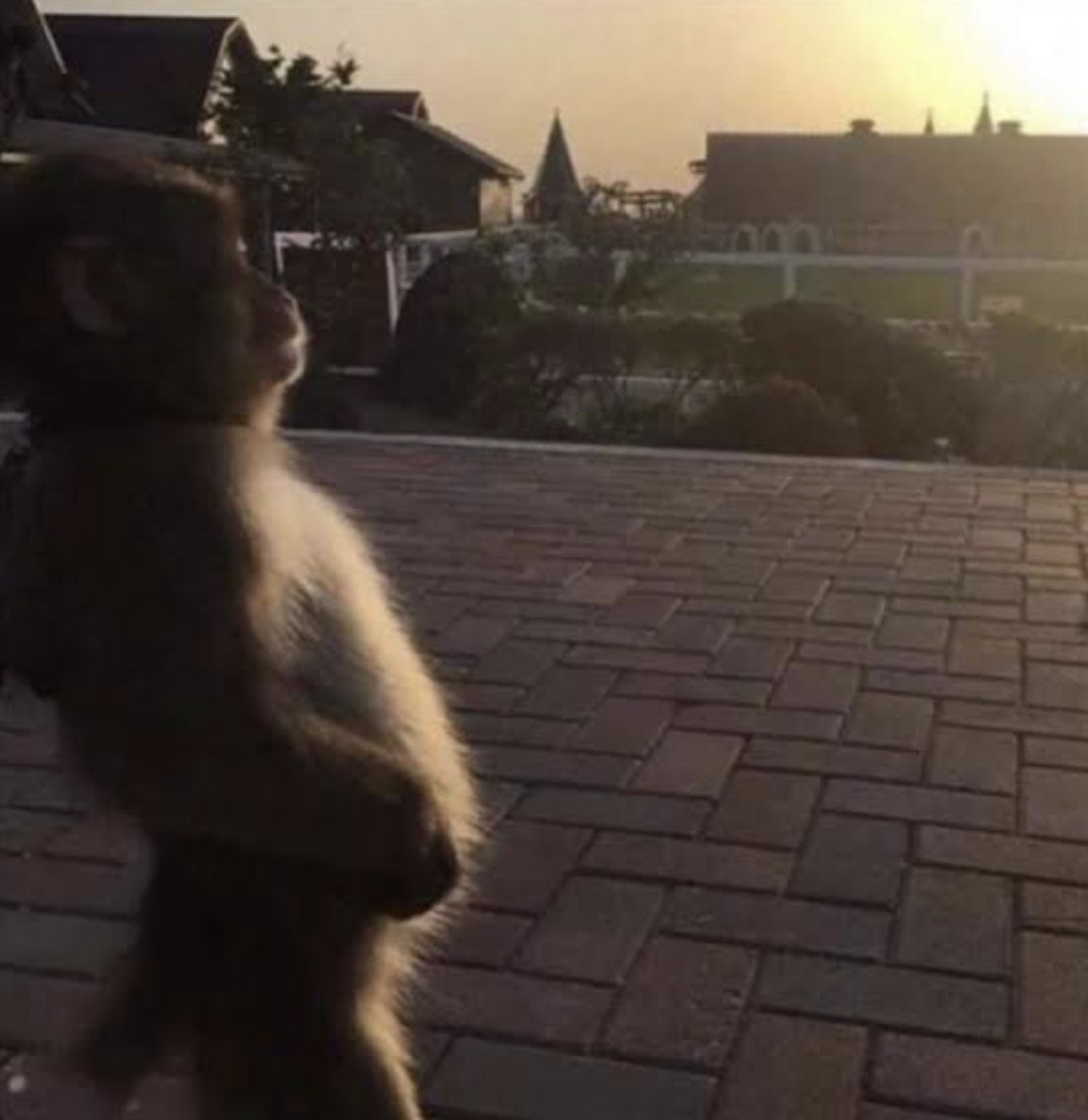 SLATTY 🧬 (evm/acc) tweet media