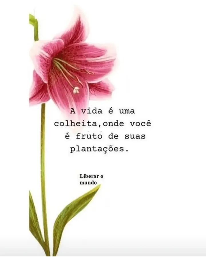 Amanda Magalhães tweet media