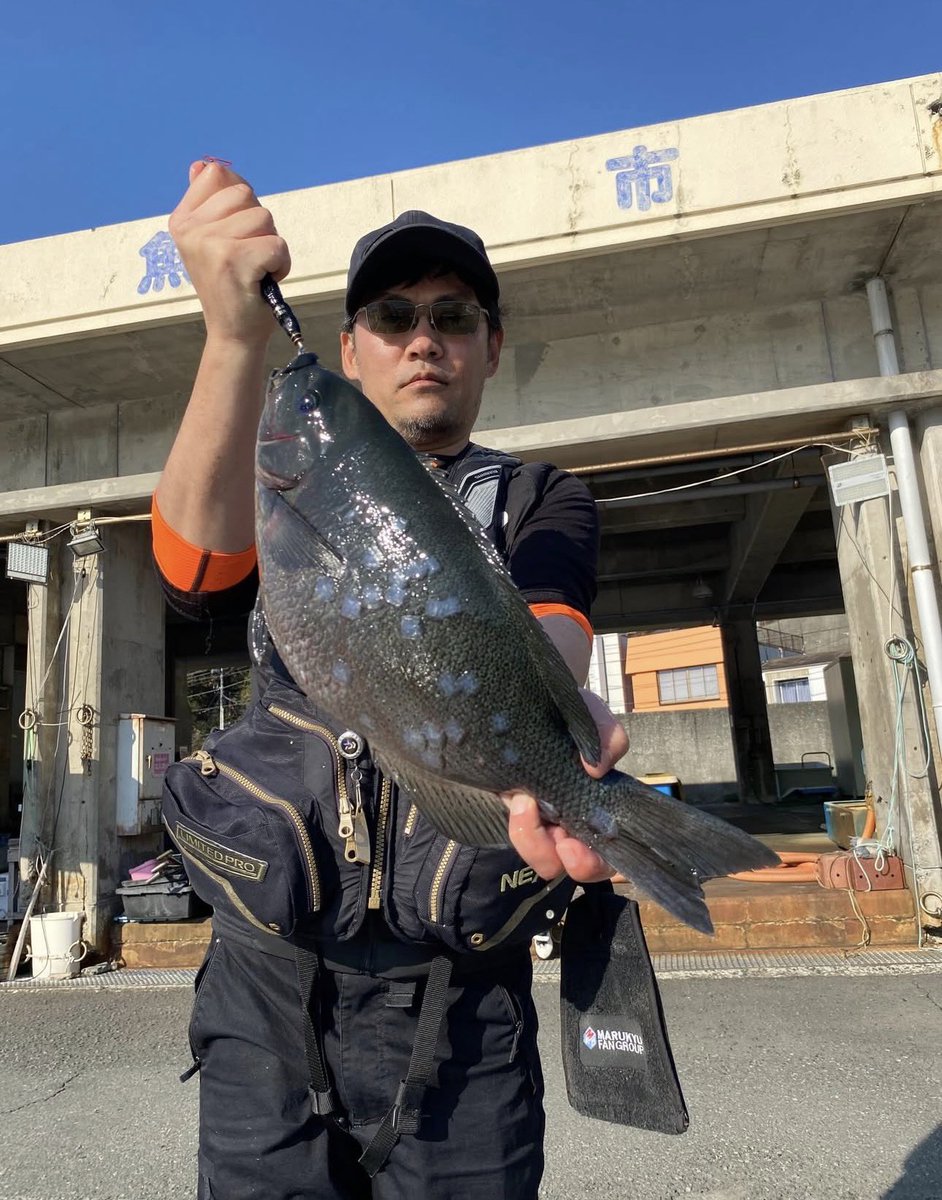 mukochaaan's tweet photo. 水温15.1°C 潮色やや澄み
口太45cm 1.94K https://t.co/e2FnmwtdFk