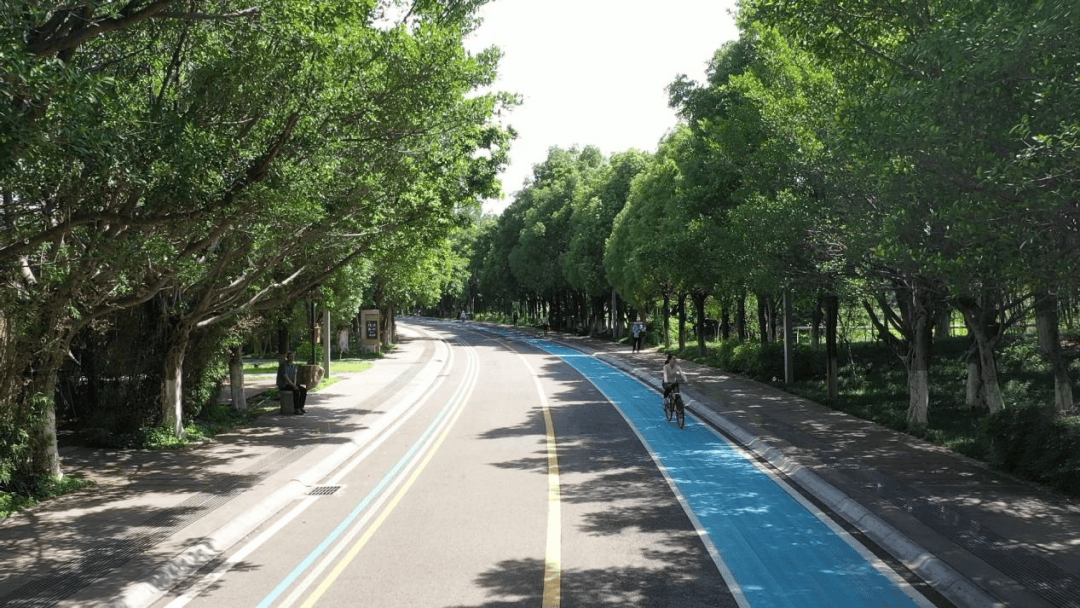 Rebeca stg tweet media