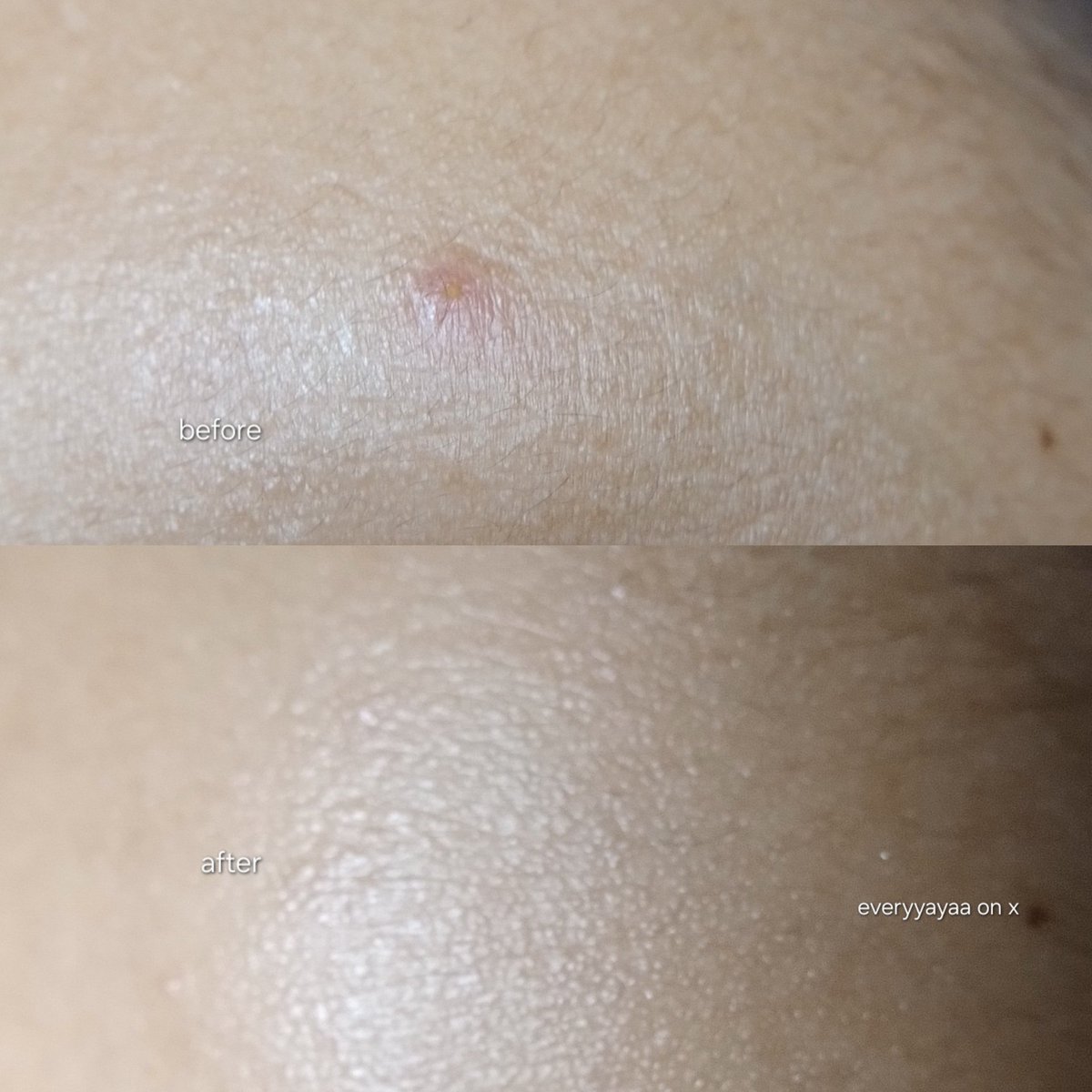 yayaaミ🌷 tweet media