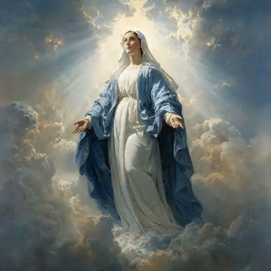 Mahassen Moursel tweet media