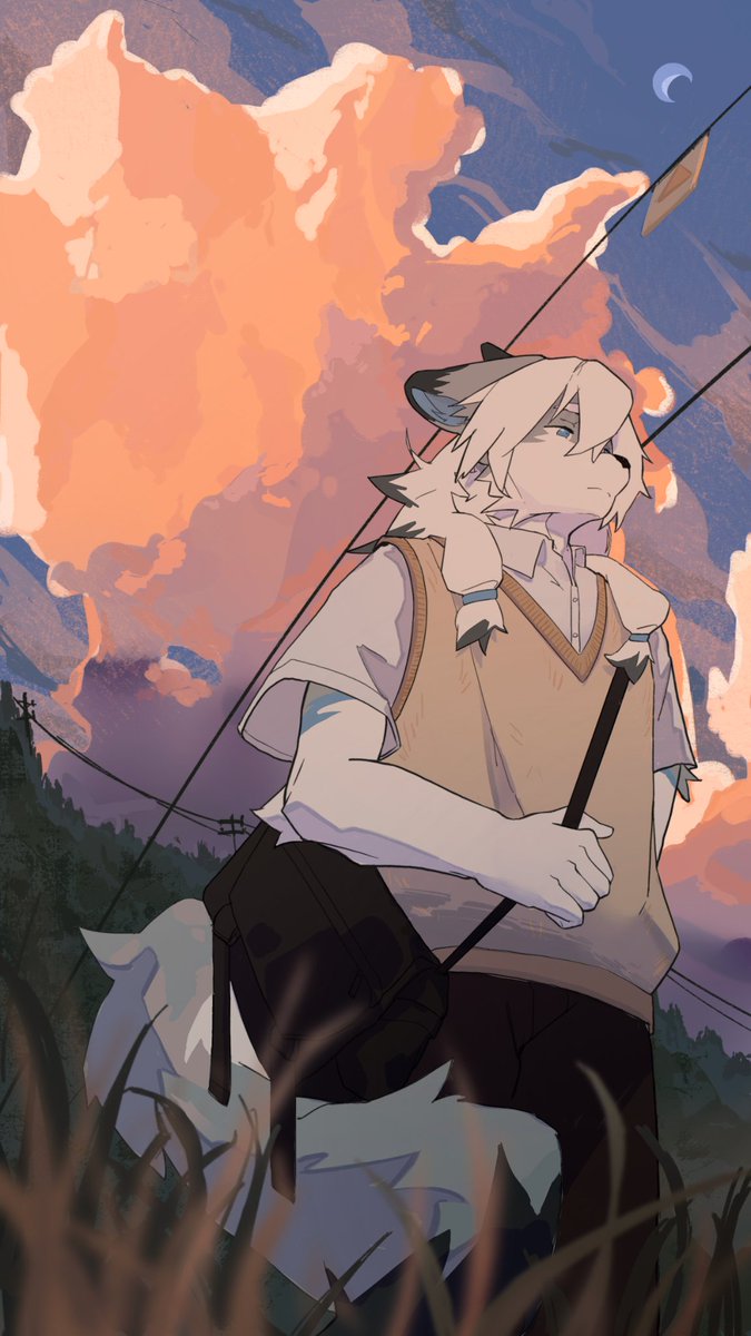 嵇乌ovo tweet media