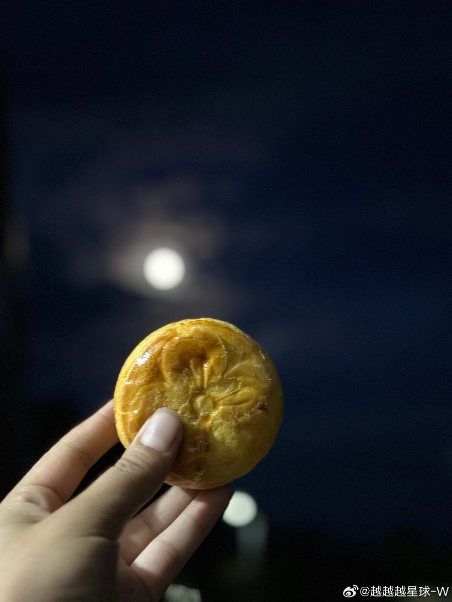 Gergana Tancheva tweet media