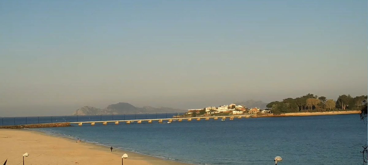 Torallamar tweet media