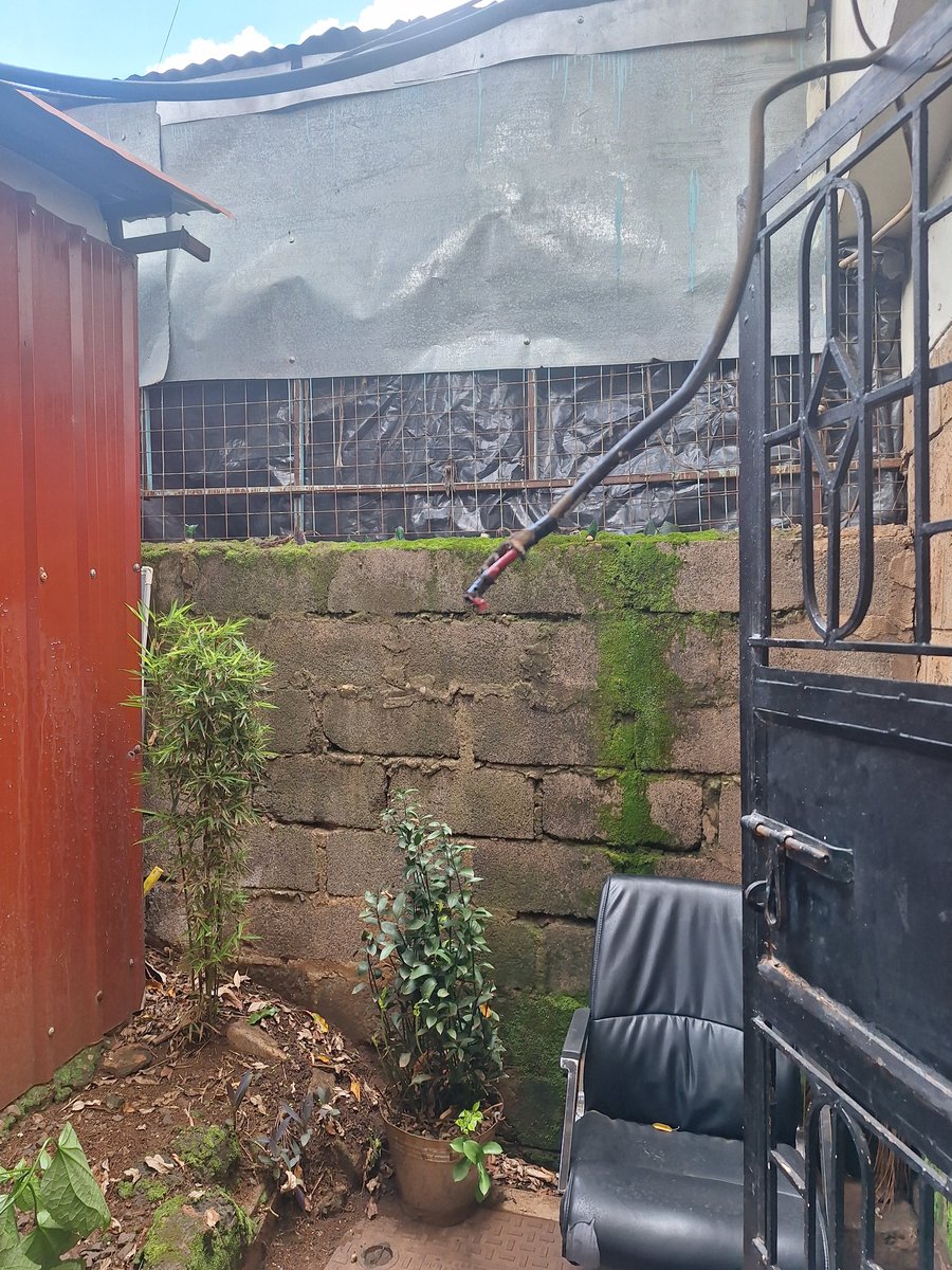 Jennifer Kaberi tweet media