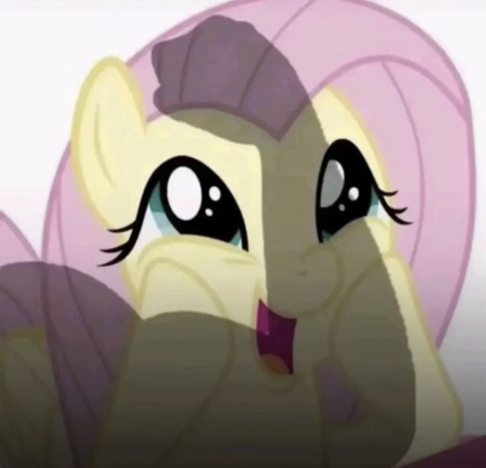 blossom. tweet media