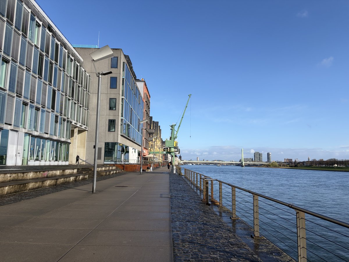 Max Otte tweet media