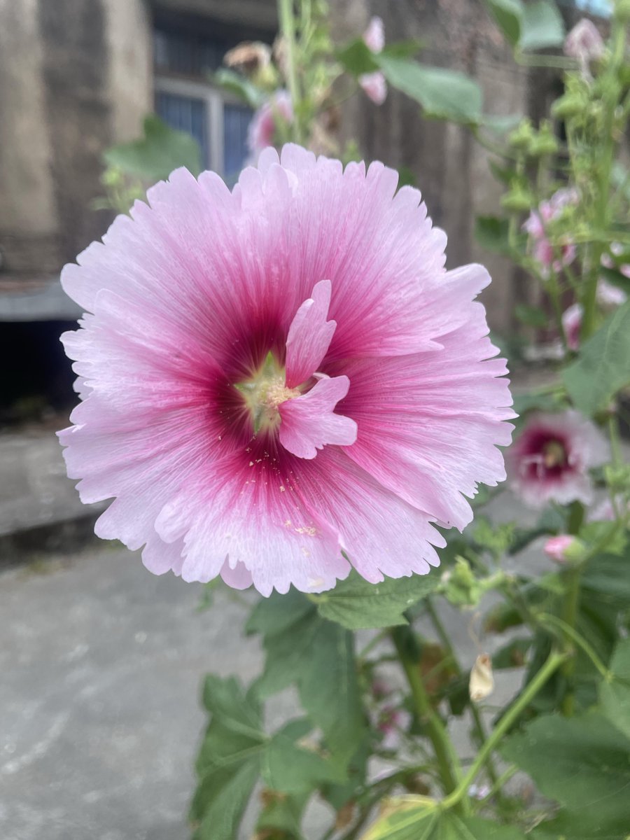 James (MegaMan) B. tweet media