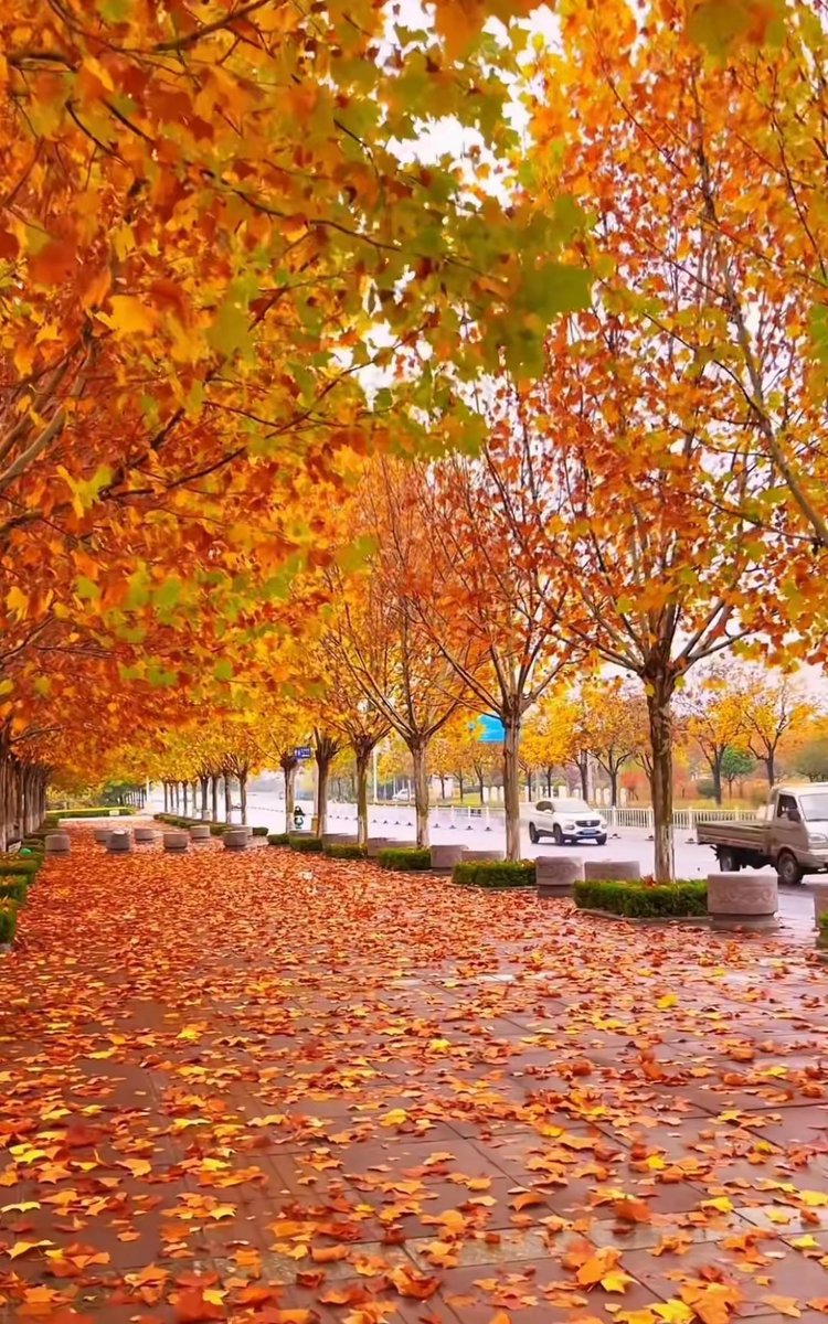 LUIS PROJECTS tweet media