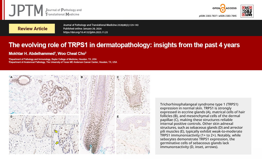 Journal of Pathology and Translational Medicine tweet media