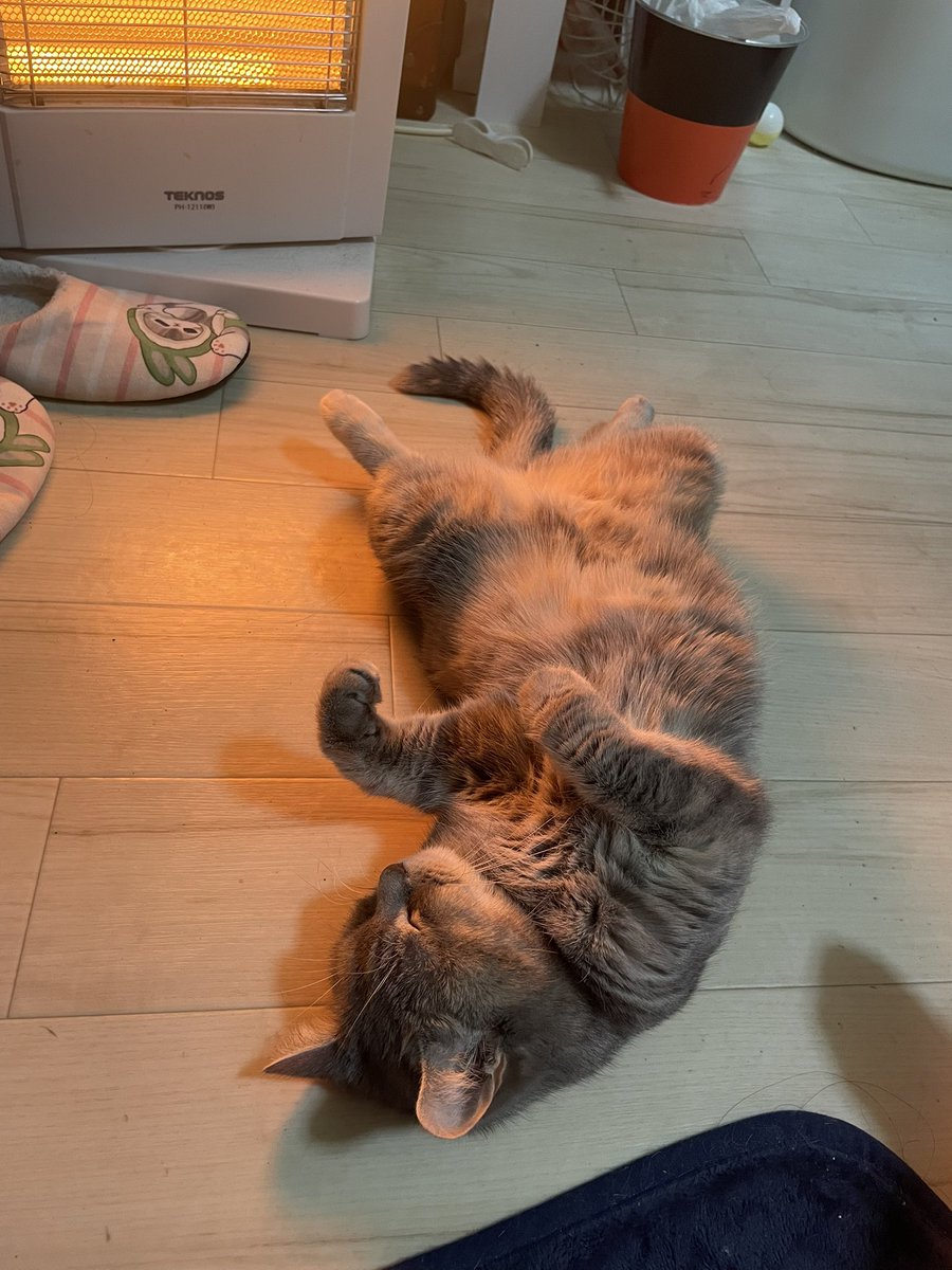 たりま姫 tweet media