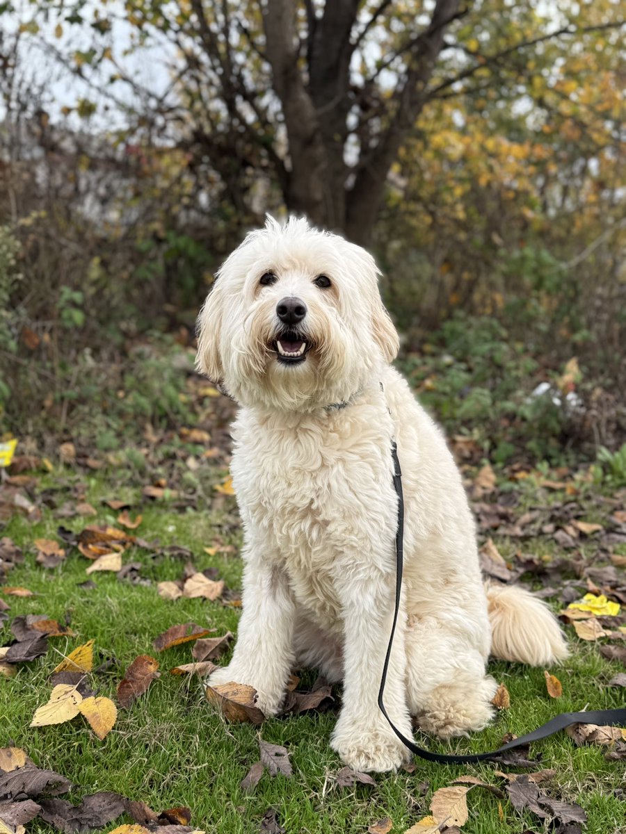 شیزوفِرنى🌶️ tweet media