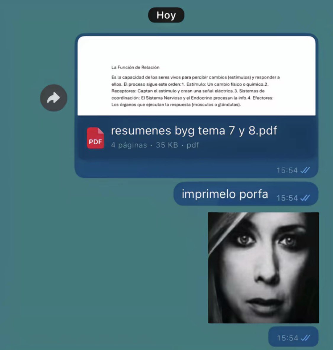 morodelsur tweet media