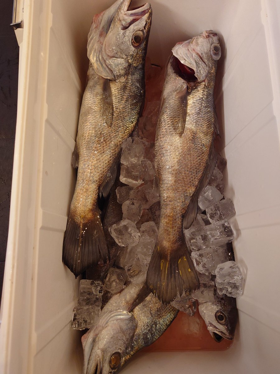 M氏🍆 tweet media