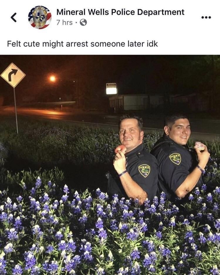 insane poses tweet media