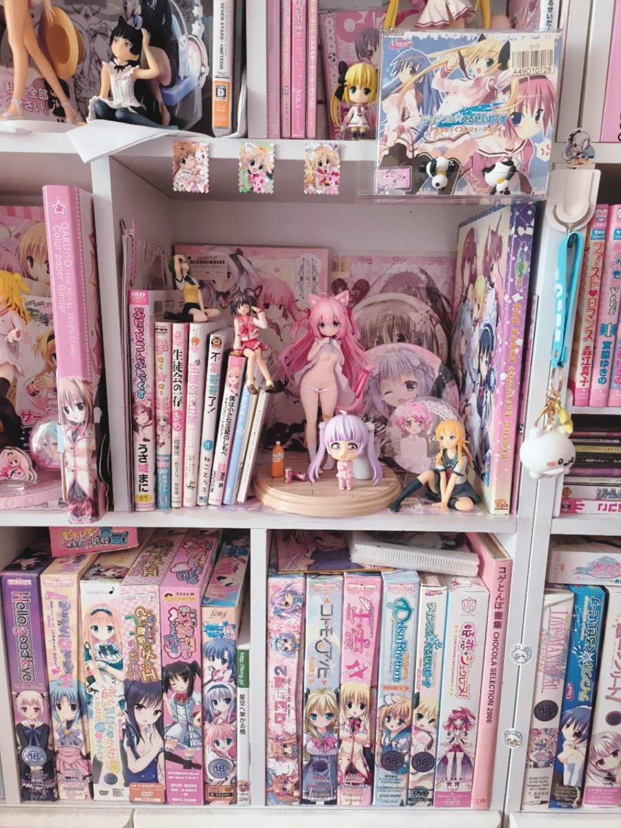 🌸夏目水奈🐶 tweet media