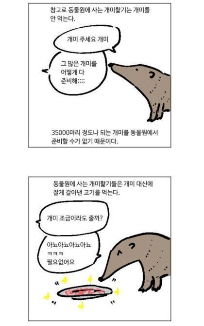 개미핥기 tweet media