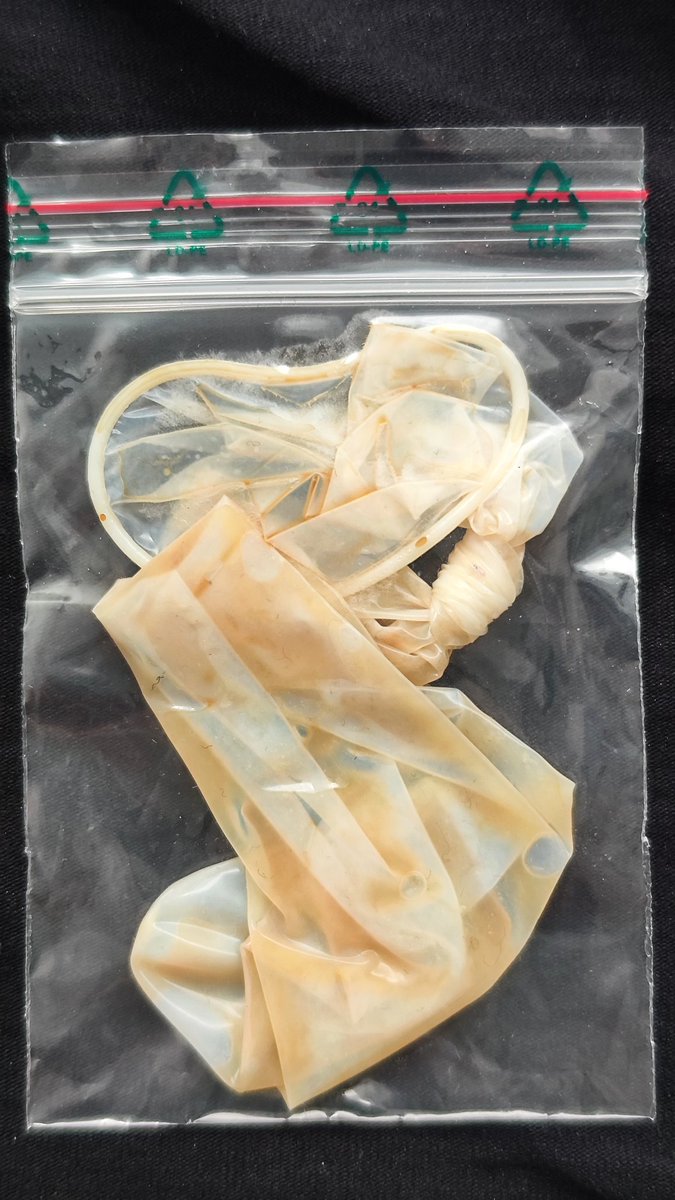 percy331 tweet media