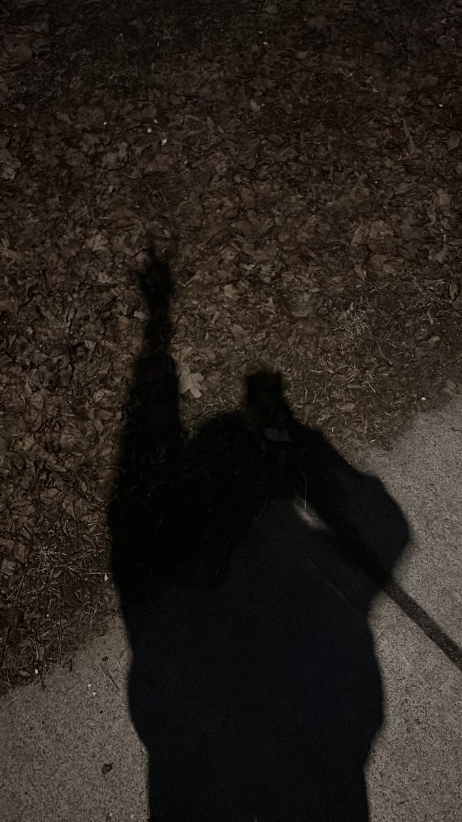omodefender's tweet photo. Omorashi of Shedtwt touches grass #IMCOLD https://t.co/AjvQQfvrLJ