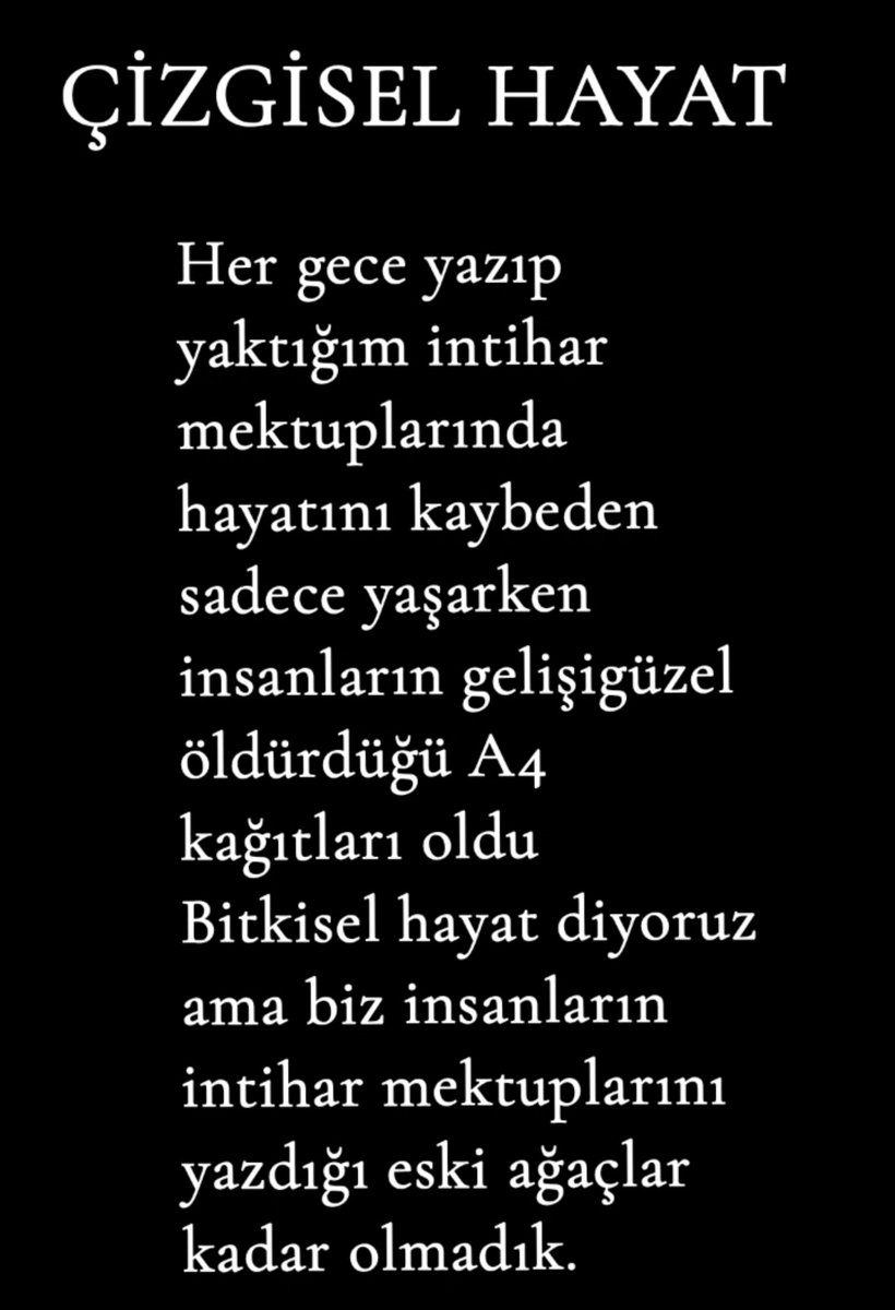 Burak tweet media