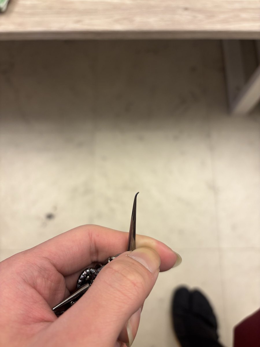 ノ助。【戦国抵抗軍】 tweet media