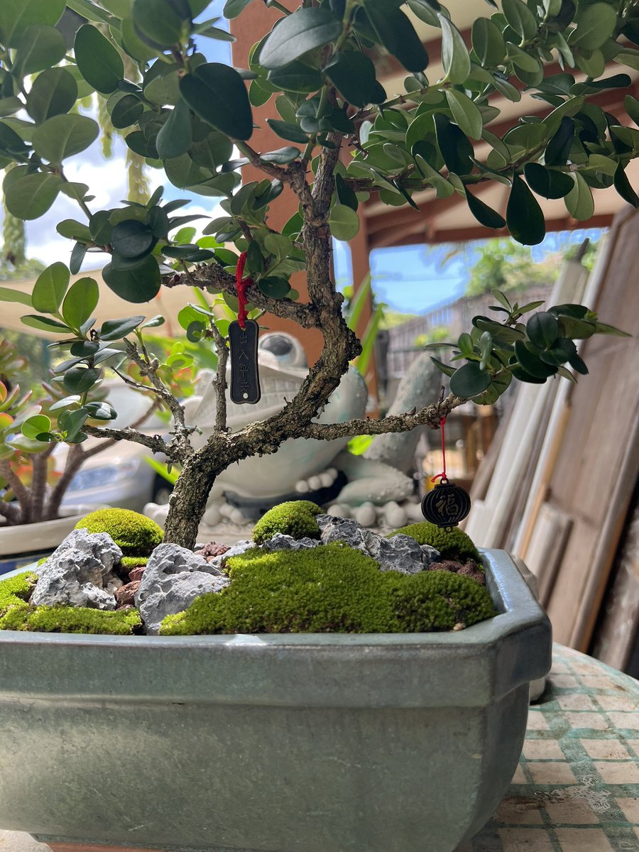 HelloImKaz 🌿 tweet media