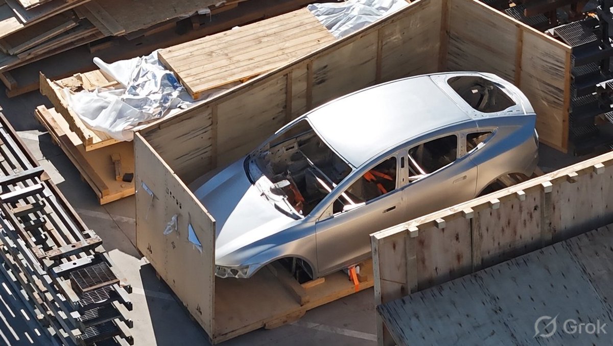 This Ordered Chaos tweet media