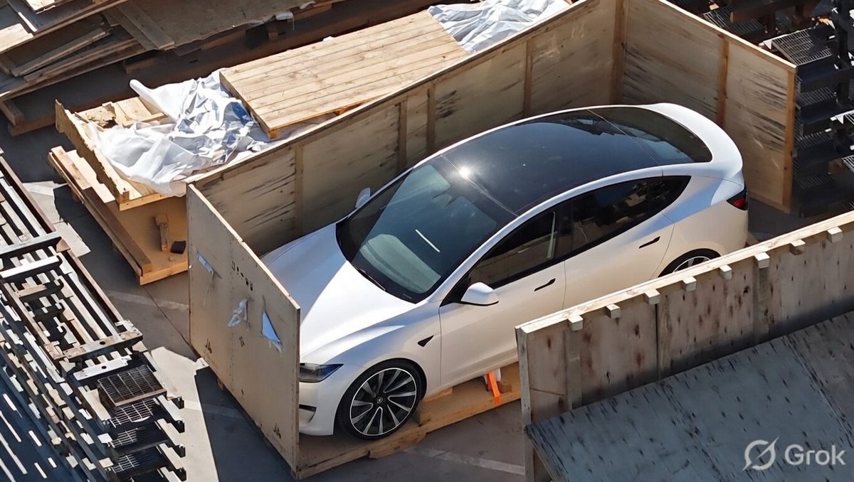 This Ordered Chaos tweet media