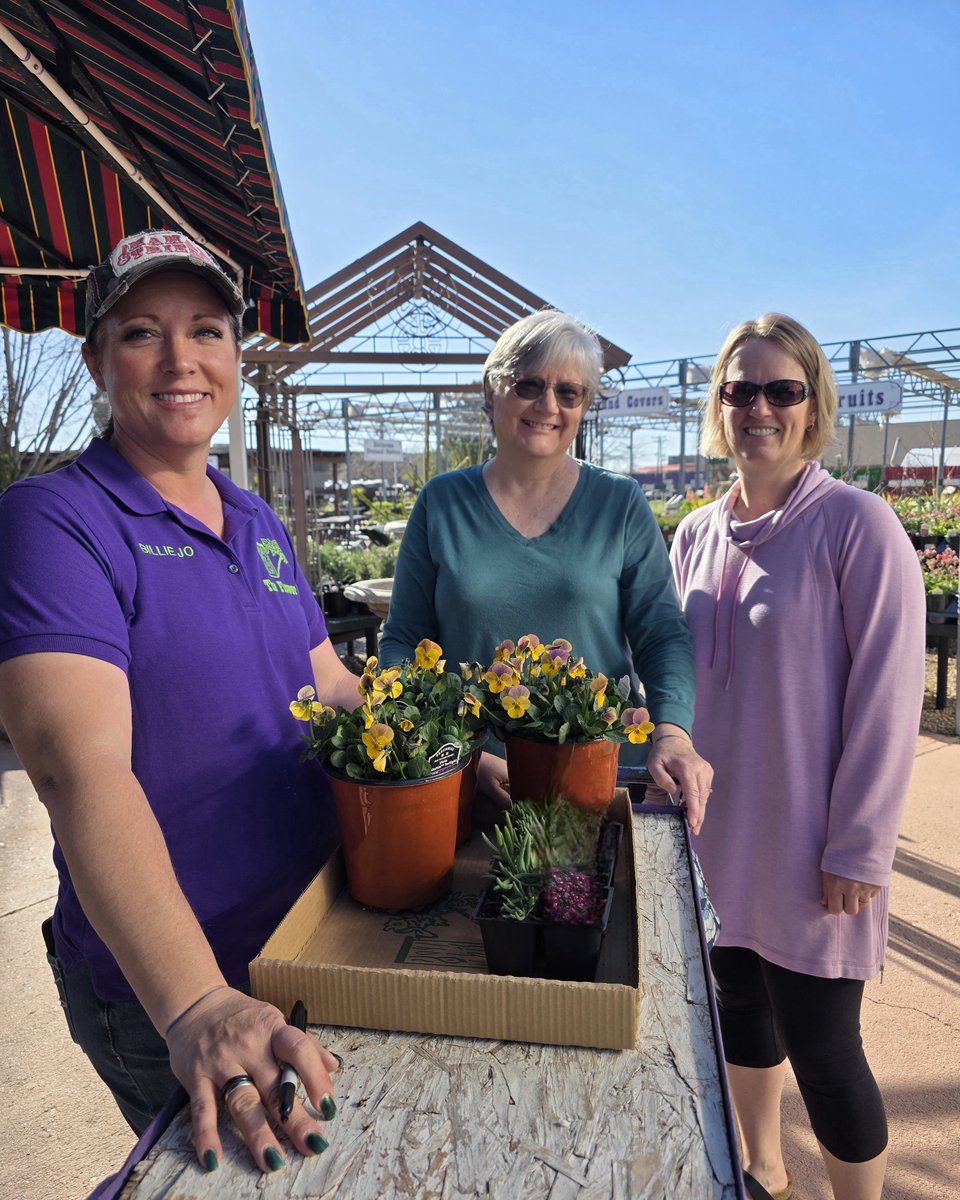 A perennial favorite, pansies offer a colorful way to welcome spring to your garden.
