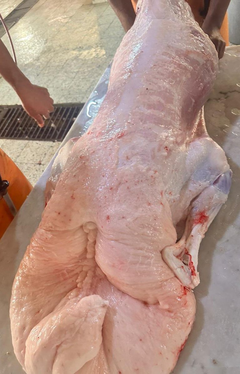 #عاشق_الماضي tweet media