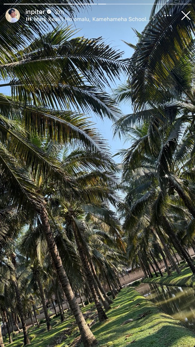 Trend For InnSarin tweet media