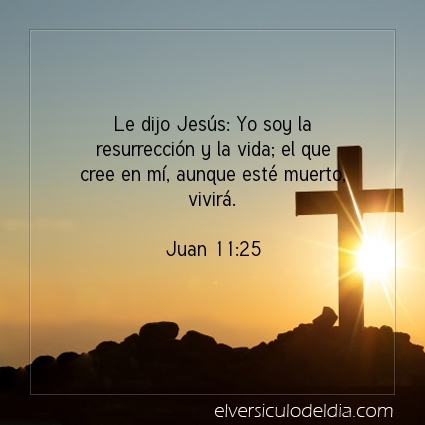 El versiculo del dia tweet media